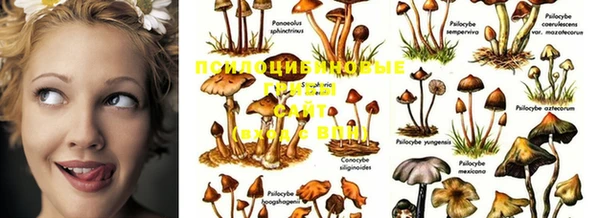 марки lsd Сосновый Бор